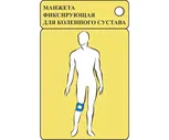 Манжета фиксирующая для коленного сустава (обхват 32-54см) для аппаратов серии Витафон